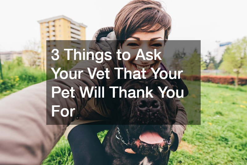 3 Things to Ask Your Vet That Your Pet Will Thank You For